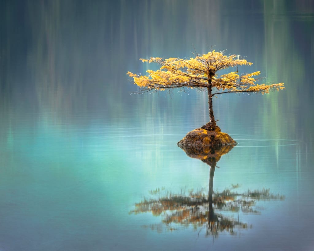 zen reflection meditation practice